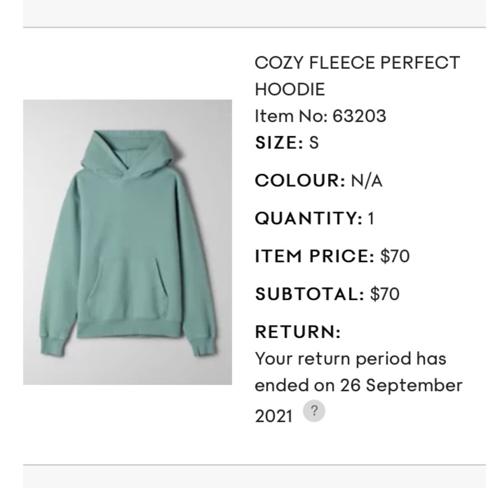 LIKE NEW aritzia cozy fleece perfect hoodie